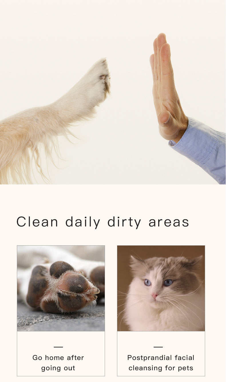 Coconut Oil Skincare Leave-in pet hair cleaning foam