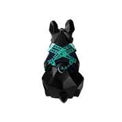 Lively colors back chest back plus dog accompanying bag