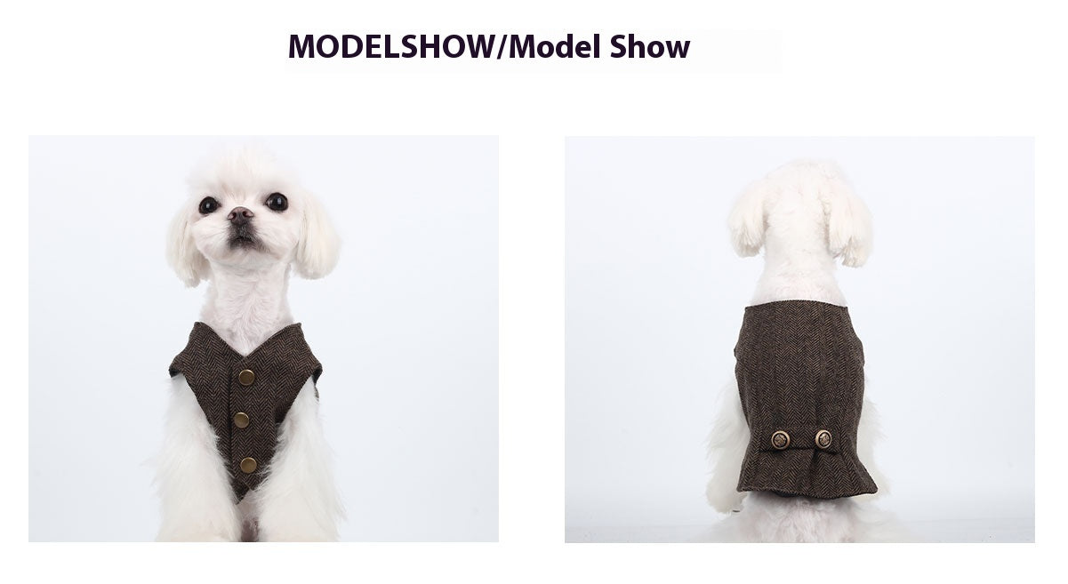 Pet clothing, Mr. St. John