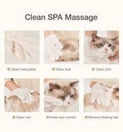 Disposable cleaning and repairing hair gloves for pets
