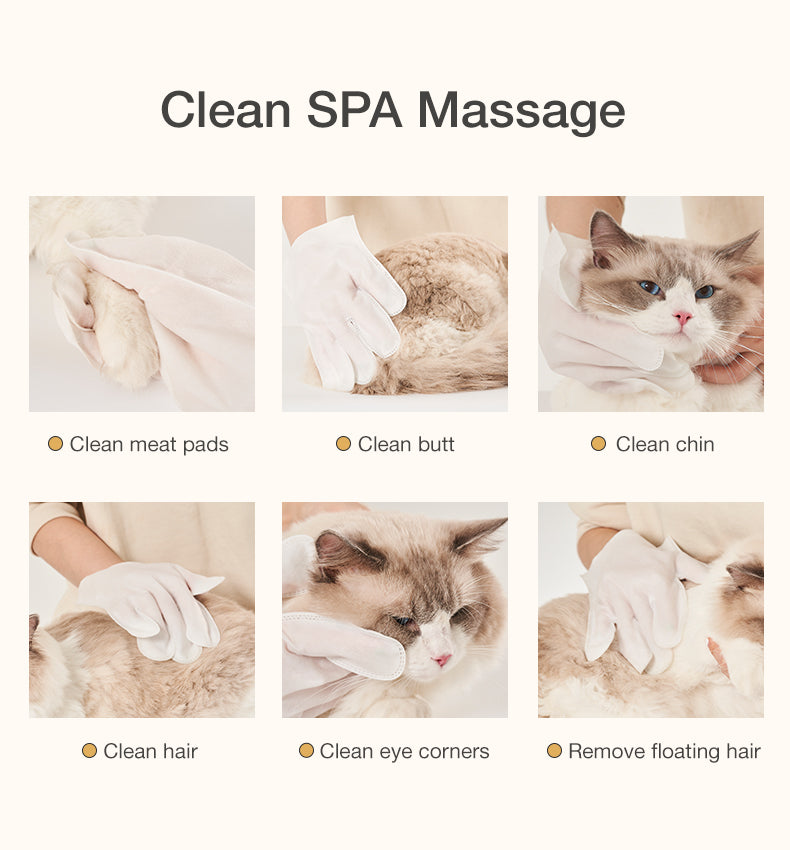 Disposable cleaning and repairing hair gloves for pets