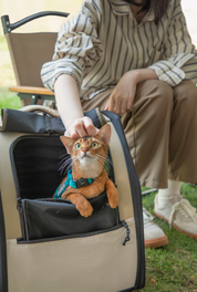 First class high capacity pet backpack