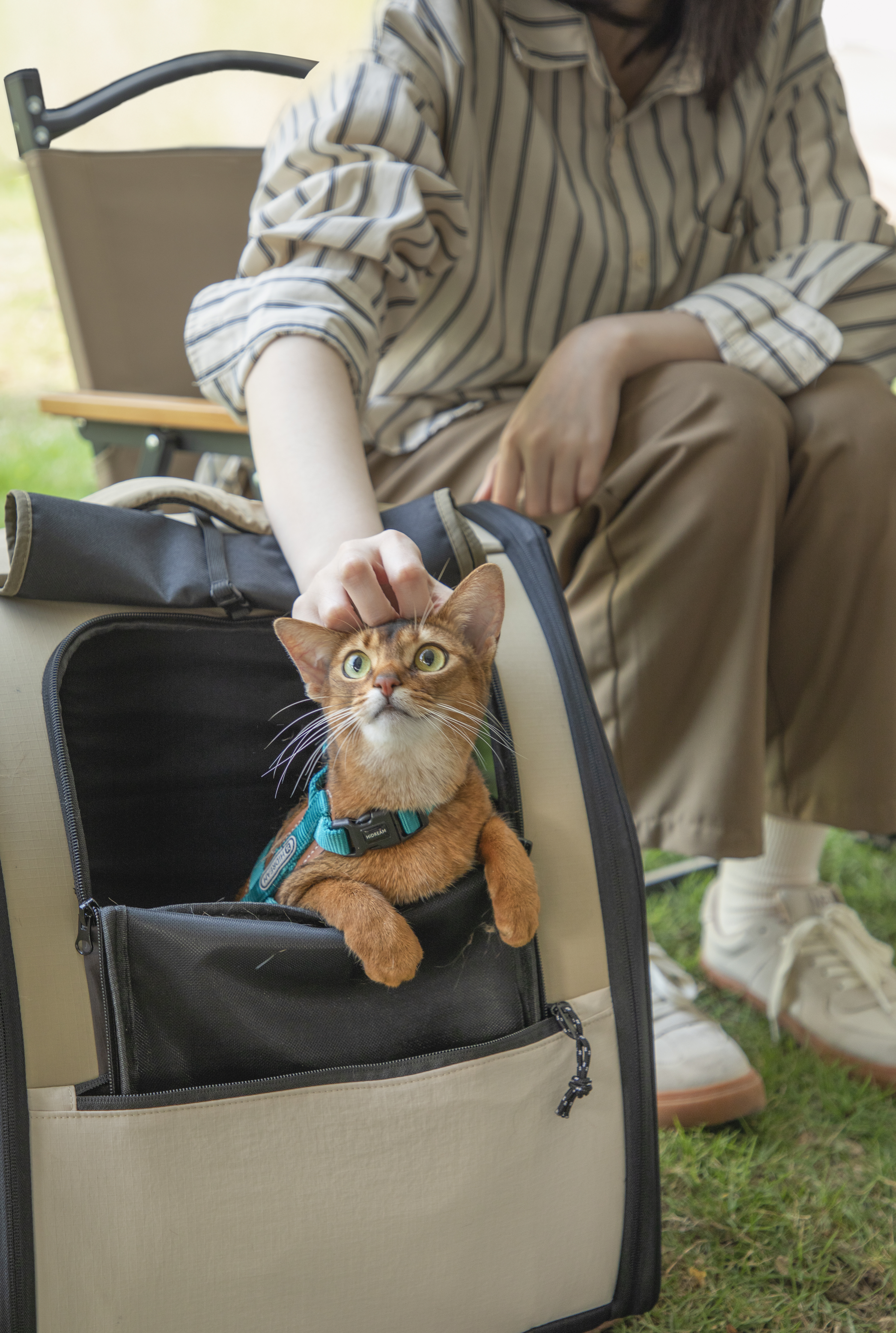 First class high capacity pet backpack