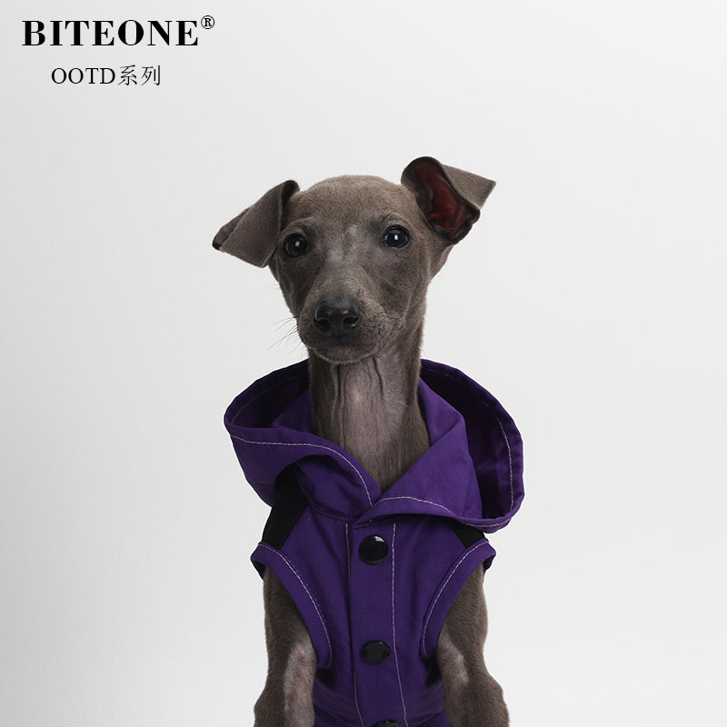 Pet fashion clothing - Off-road Riders-purple