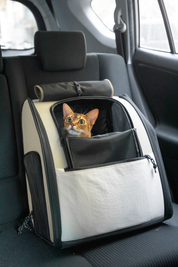 First class high capacity pet backpack