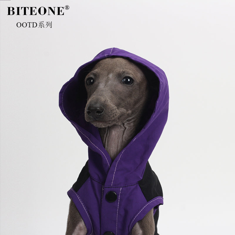 Pet fashion clothing - Off-road Riders-purple