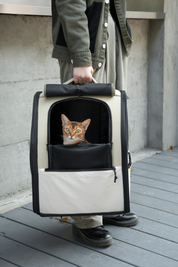 First class high capacity pet backpack