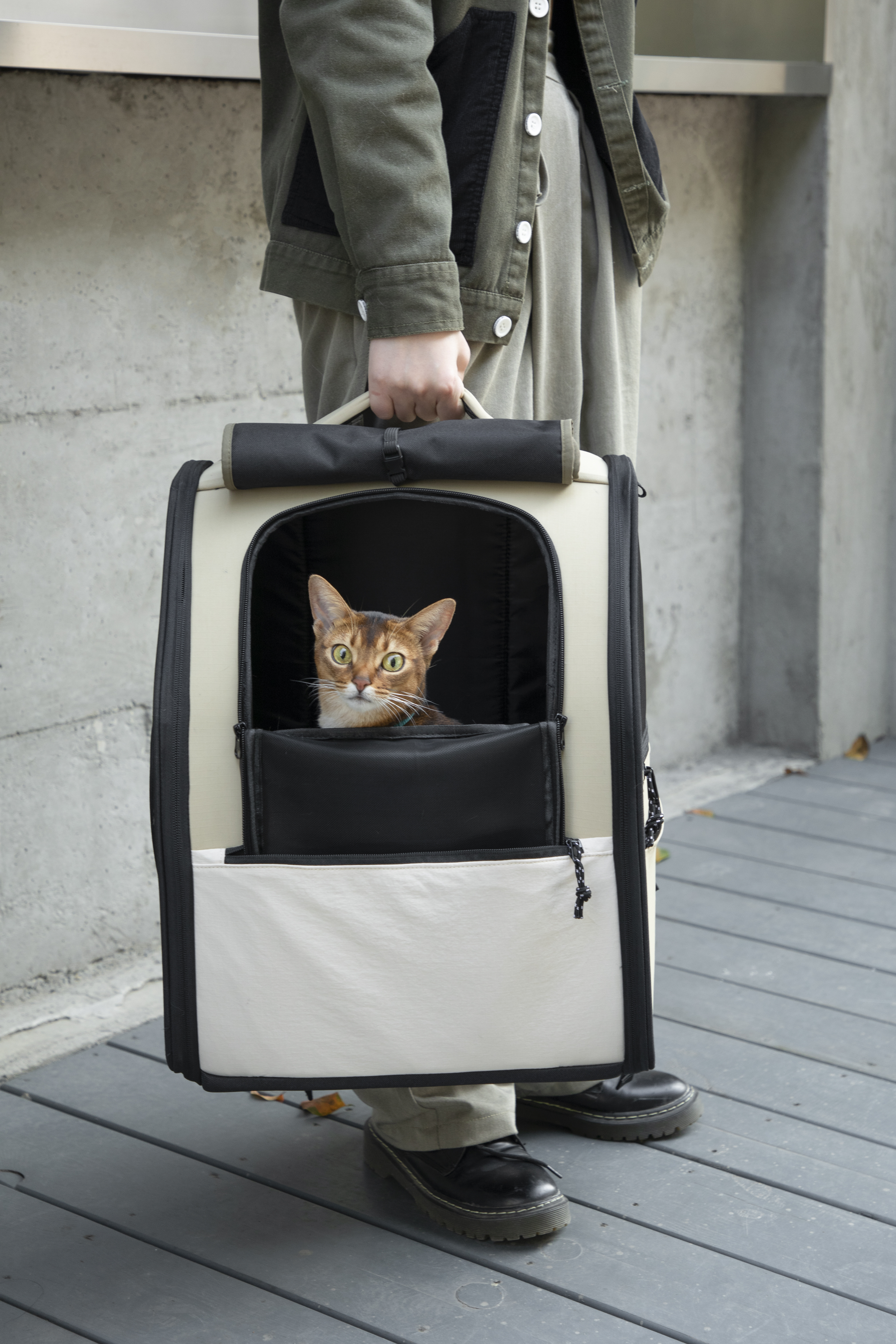 First class high capacity pet backpack