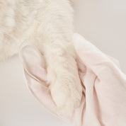 Disposable cleaning and repairing hair gloves for pets