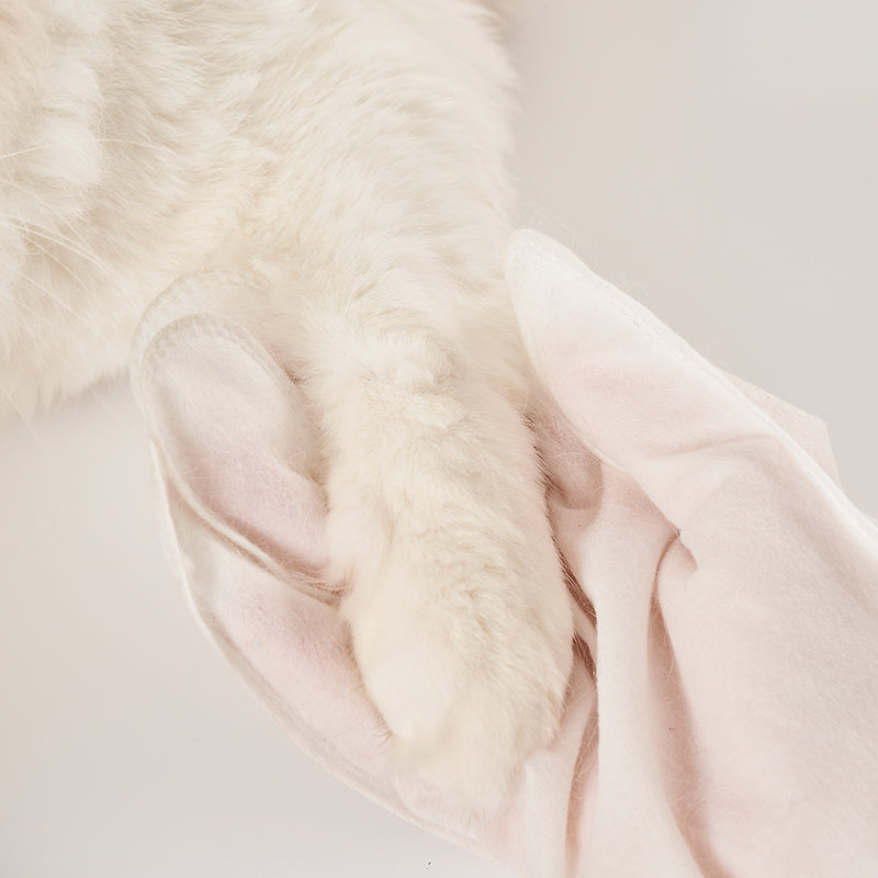 Disposable cleaning and repairing hair gloves for pets