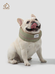 Pet outdoor cooling scarf