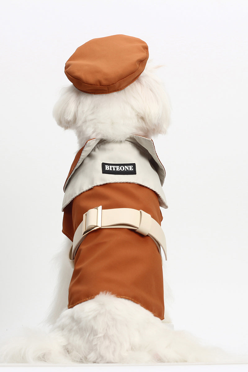 Paris Left Bank fashion trench coat