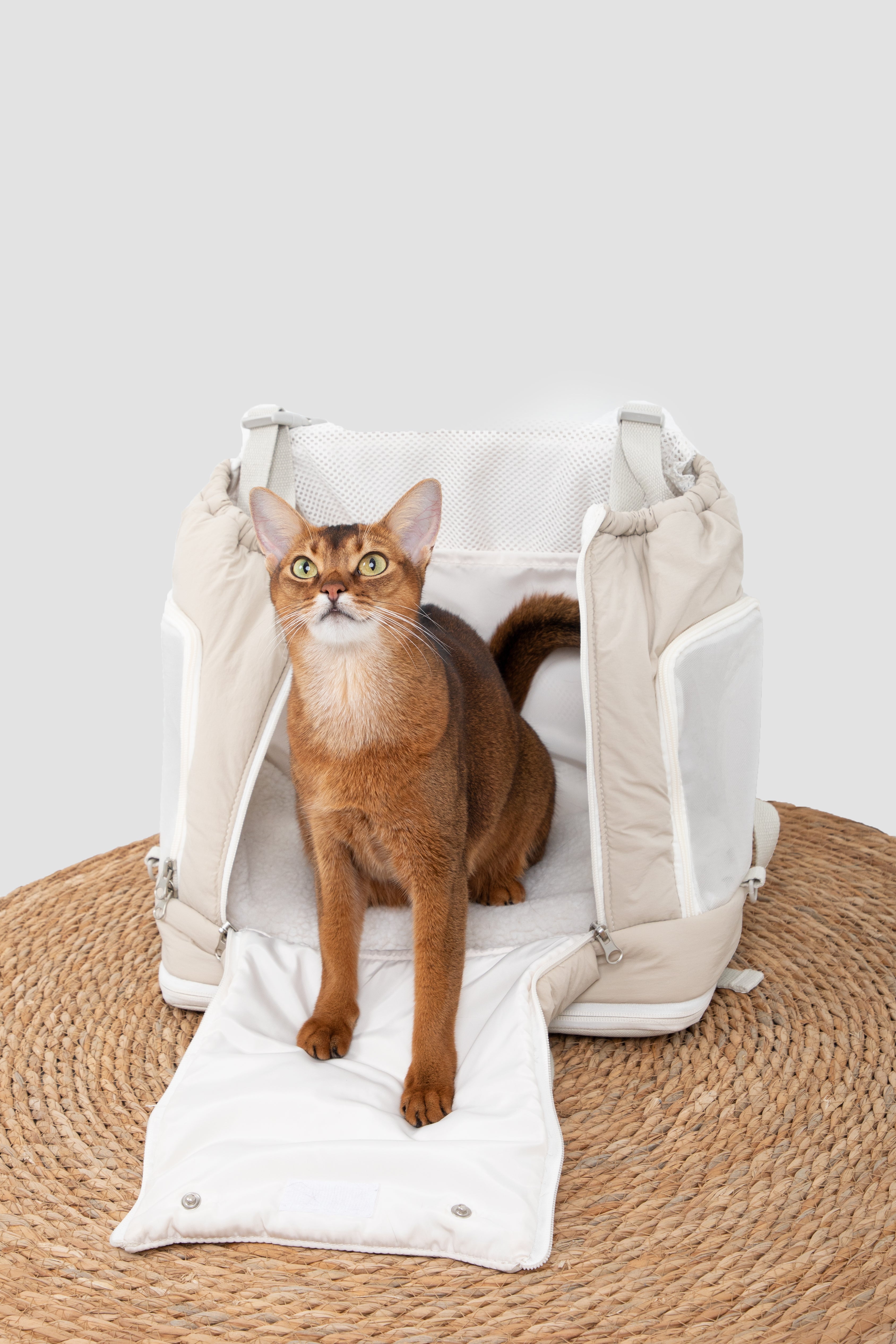 Beige soft texture large capacity pet chest bag