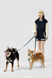 BOBO series hands-free diagonal pet leash