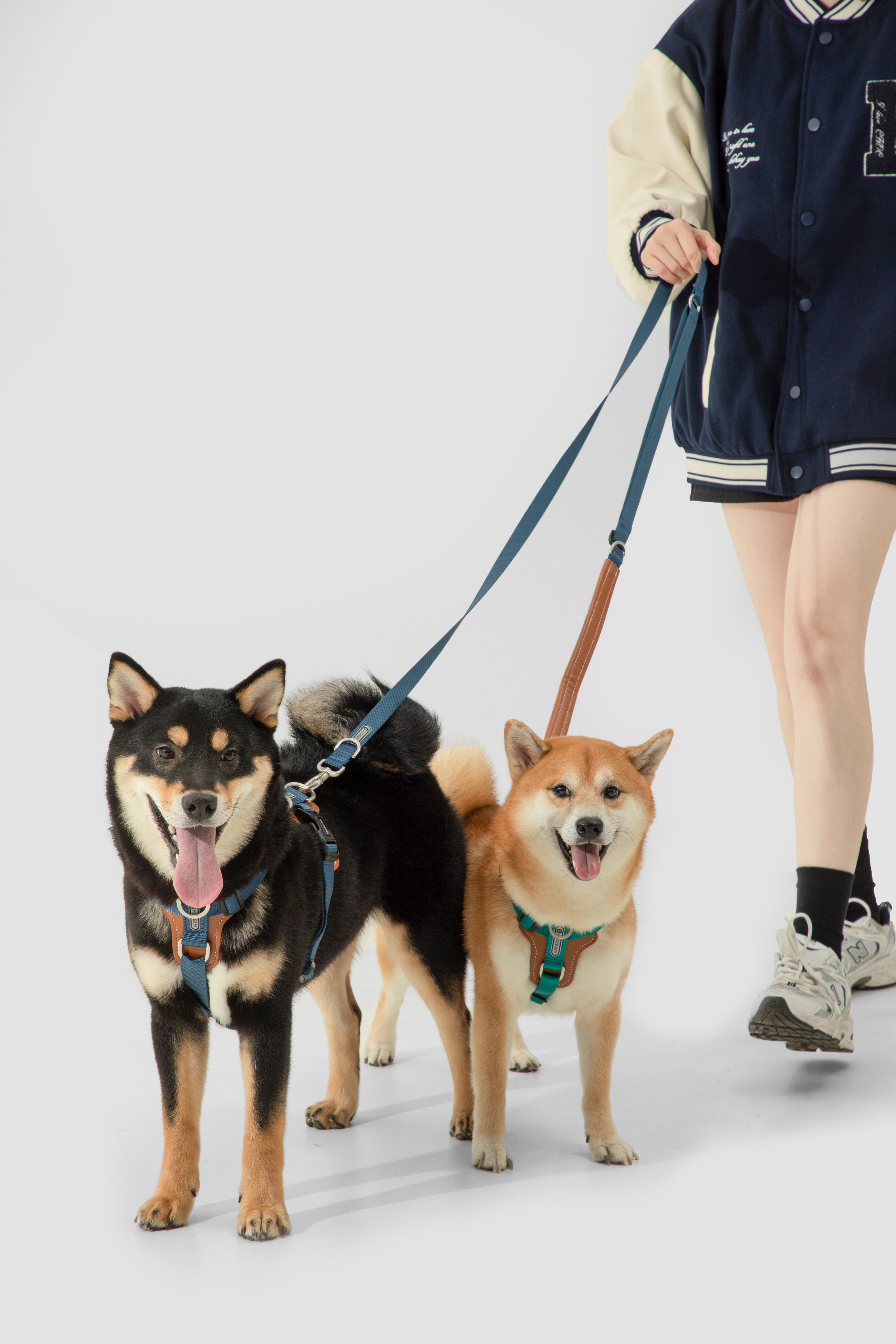 BOBO series hands-free diagonal pet leash