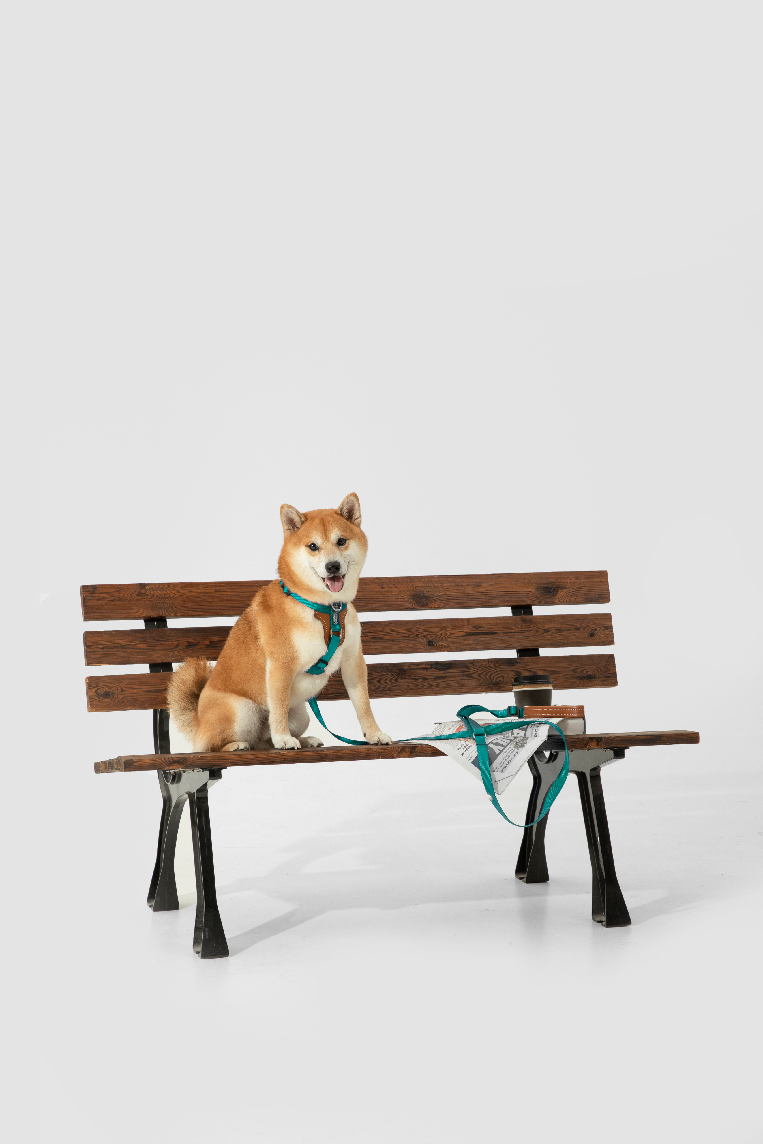 BOBO series hands-free diagonal pet leash