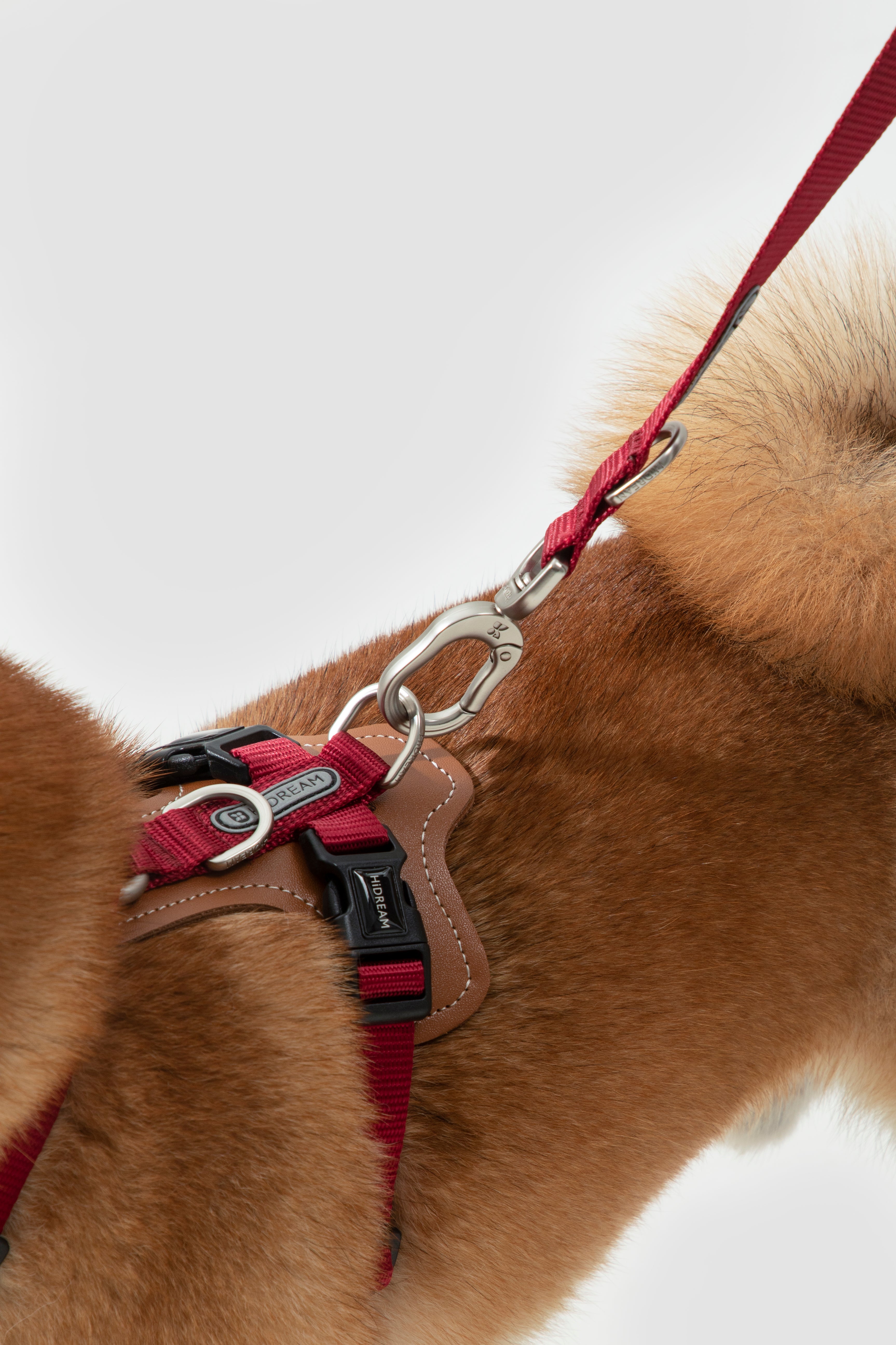 BOBO series hands-free diagonal pet leash