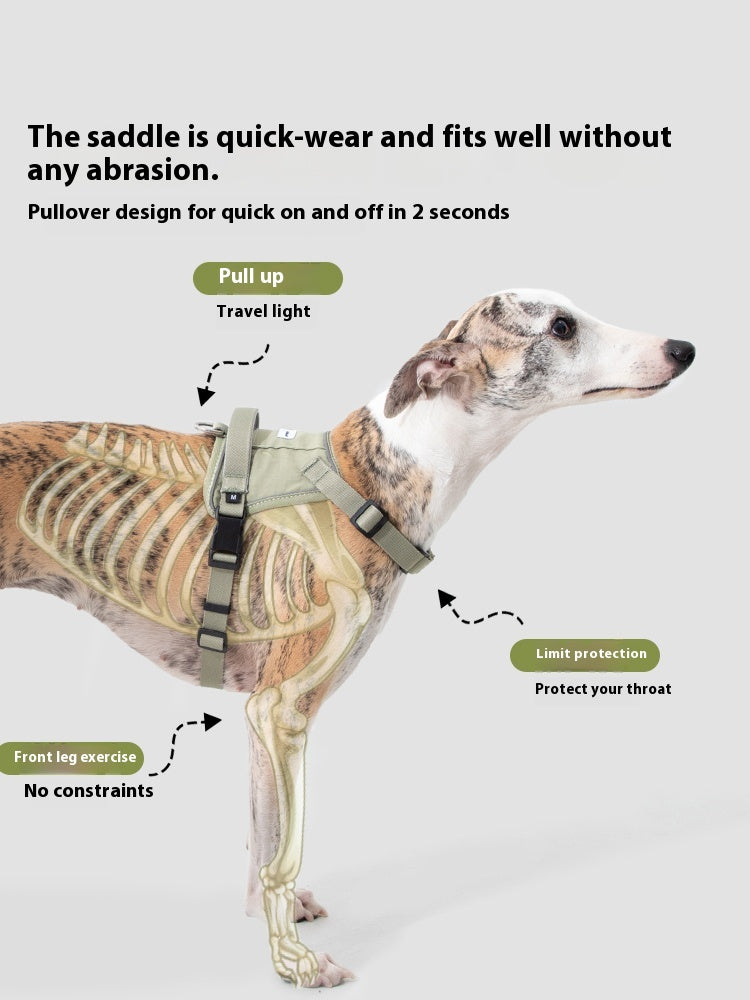 Valley Series Chest and Back (excluding leash)