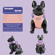 Lively colors back chest back plus dog accompanying bag