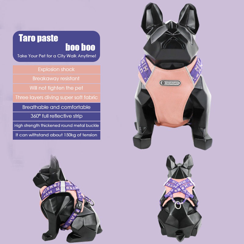 Lively colors back chest back plus dog accompanying bag