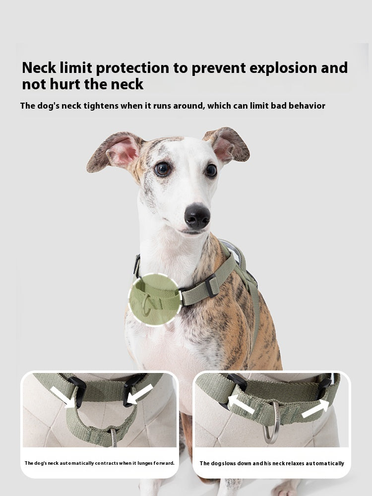 Valley Series Chest and Back (excluding leash)