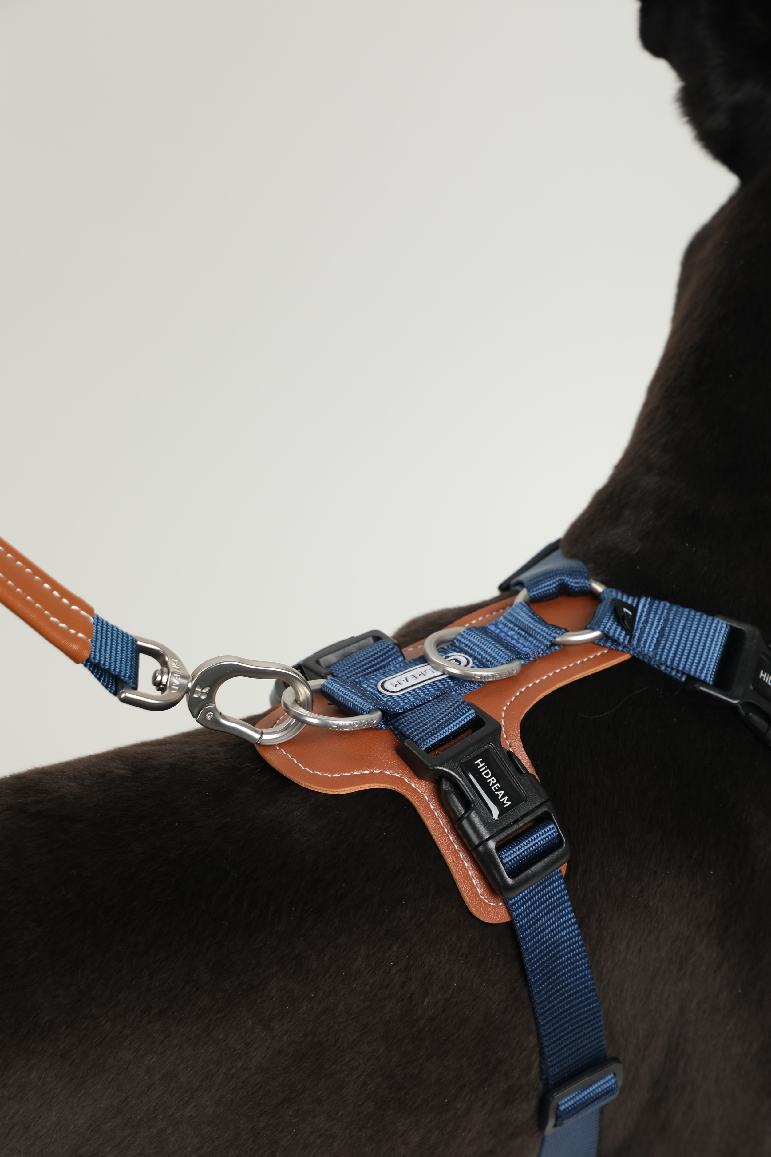 BOBO series hands-free diagonal pet leash