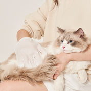 Disposable cleaning and repairing hair gloves for pets