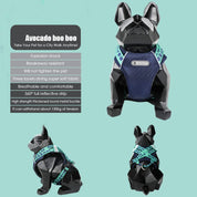 Lively colors back chest back plus dog accompanying bag