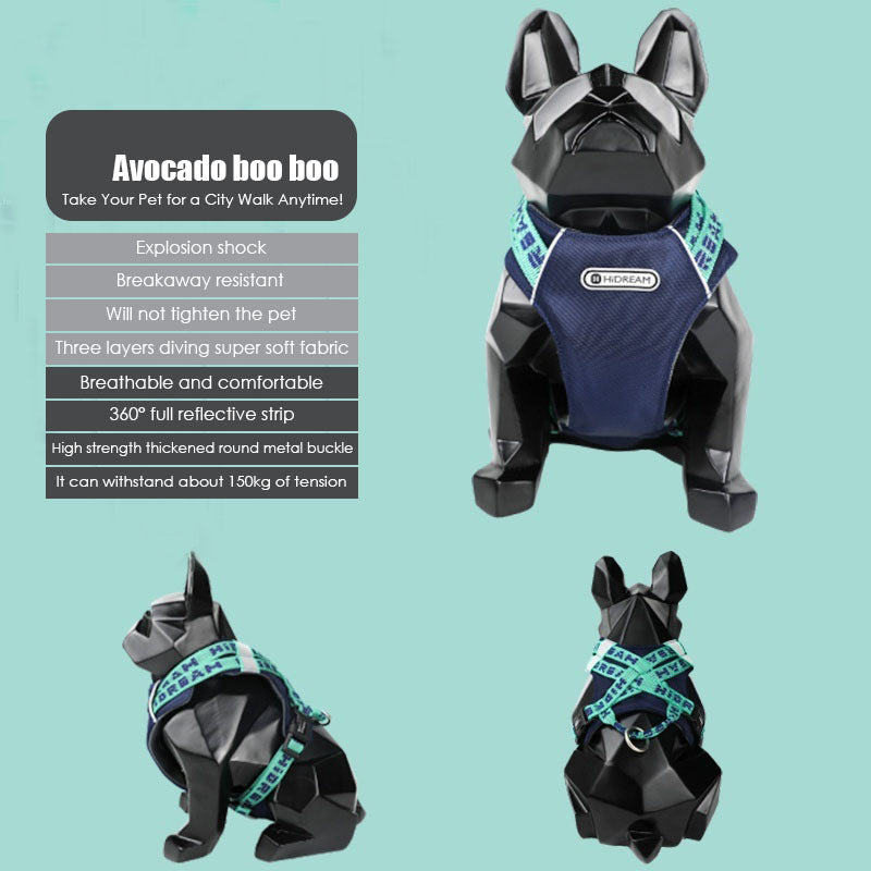 Lively colors back chest back plus dog accompanying bag