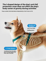 BOBO series hands-free diagonal pet leash