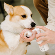 Coconut Oil Skincare Leave-in pet hair cleaning foam