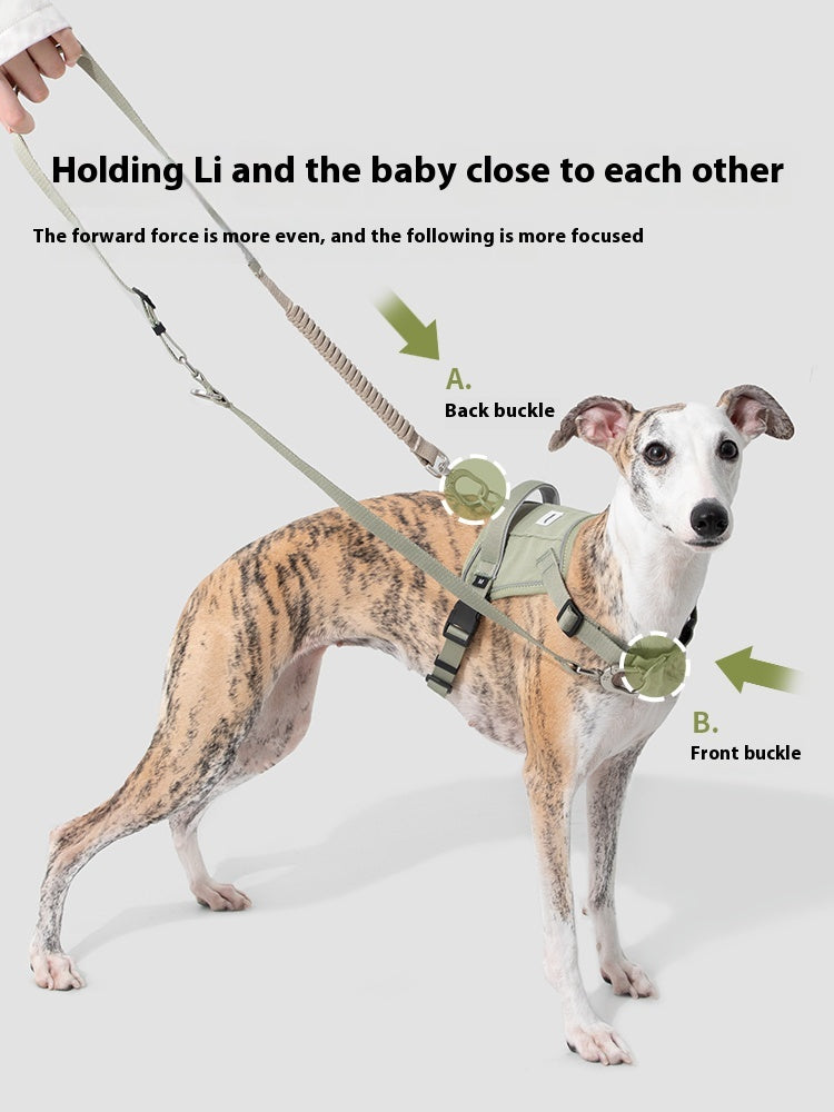 Valley Series Chest and Back (excluding leash)