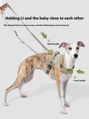 Valley Series Chest and Back (excluding leash)