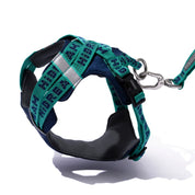 Lively colors back chest back plus dog accompanying bag