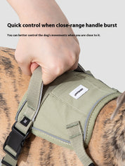 Valley Series Chest and Back (excluding leash)