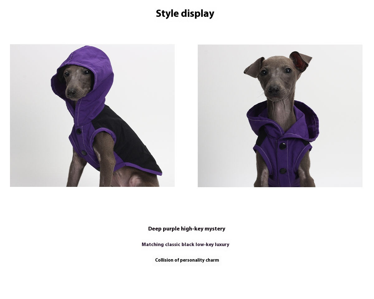 Pet fashion clothing - Off-road Riders-purple