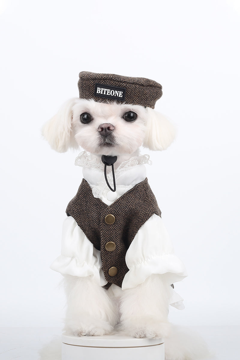 Pet clothing, Mr. St. John