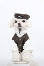 Pet clothing, Mr. St. John
