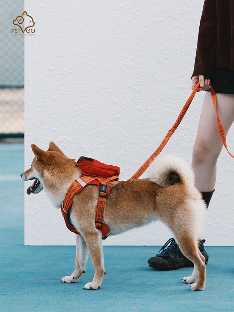 Lively colors back chest back plus dog accompanying bag