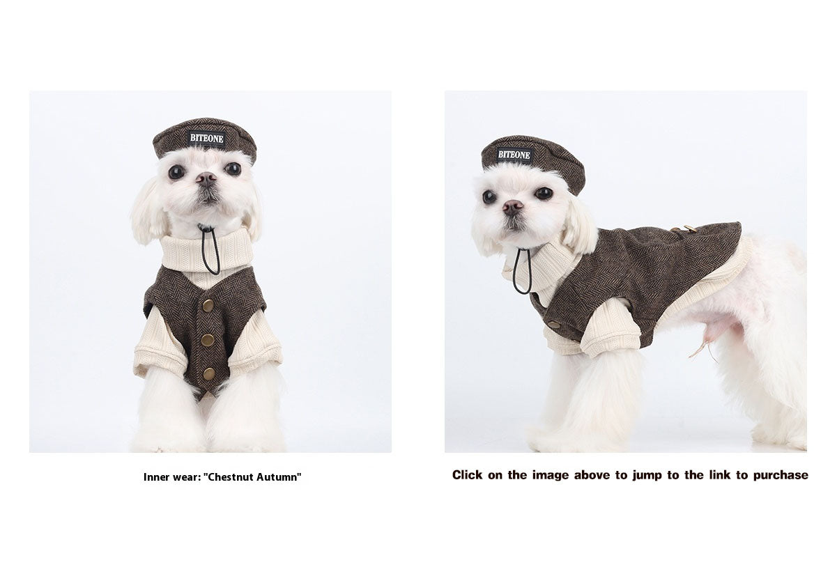 Pet clothing, Mr. St. John