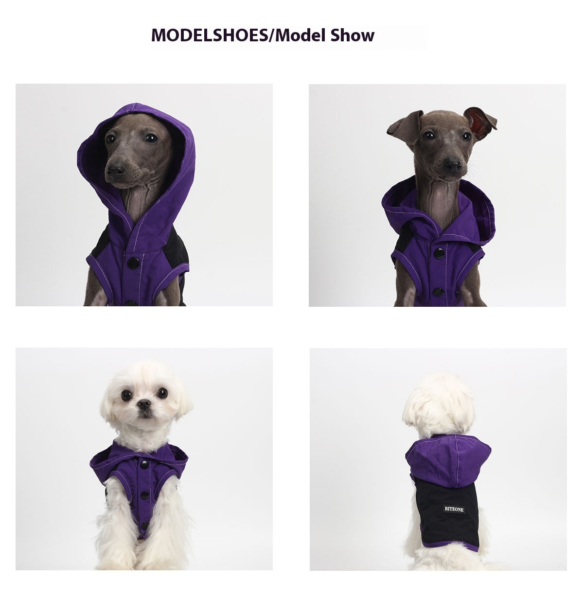 Pet fashion clothing - Off-road Riders-purple