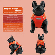 Lively colors back chest back plus dog accompanying bag