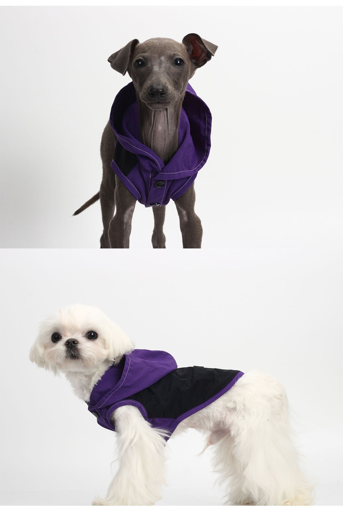 Pet fashion clothing - Off-road Riders-purple