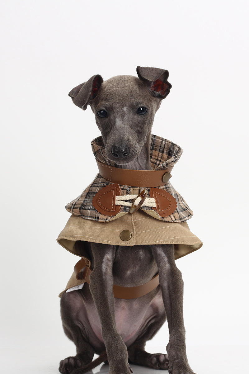 Dreaming of Baker Street Trench Coat+ Hat