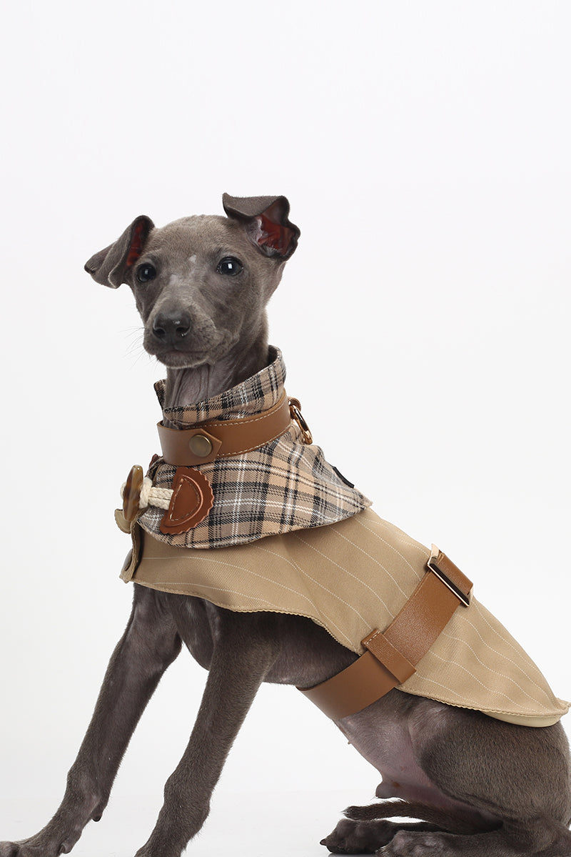 Dreaming of Baker Street Trench Coat+ Hat