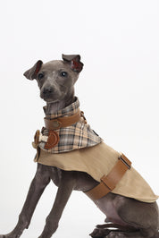 Dreaming of Baker Street Trench Coat+ Hat