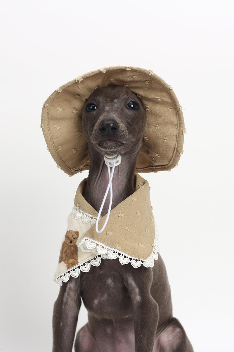 Cat and dog accessories Spring and summer new cute fisherman hat + neck