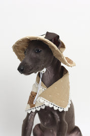 Cat and dog accessories Spring and summer new cute fisherman hat + neck