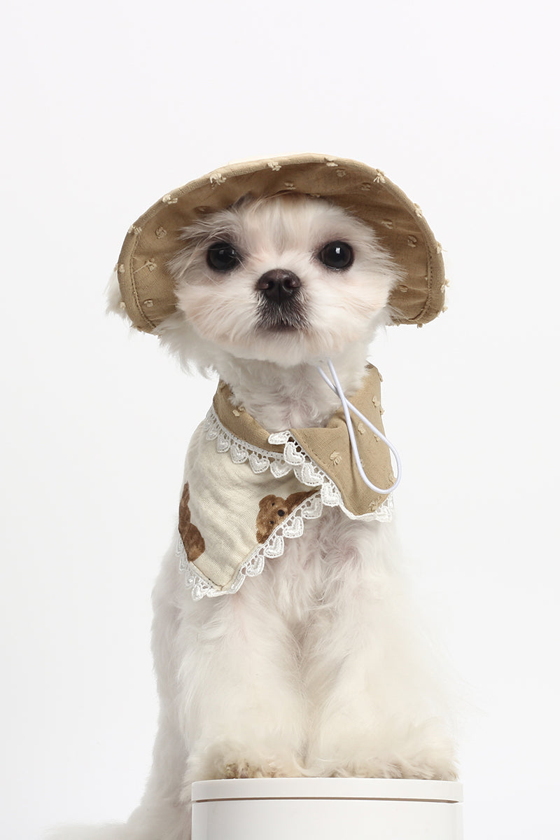 Cat and dog accessories Spring and summer new cute fisherman hat + neck