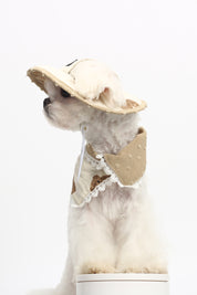 Cat and dog accessories Spring and summer new cute fisherman hat + neck